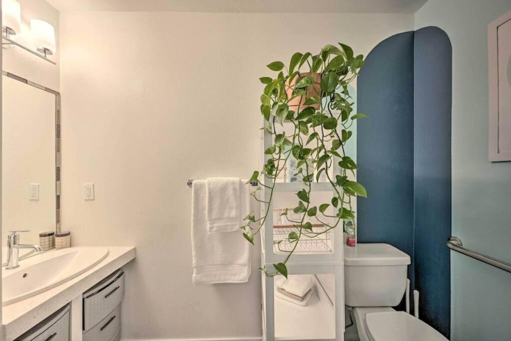 סיאטל Stylish Ballard Studio 15 Mins From Space Needle מראה חיצוני תמונה